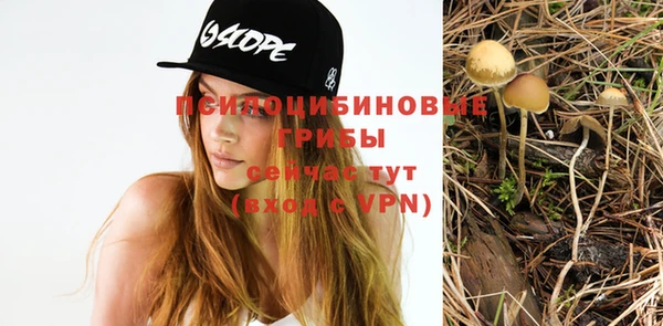 Альфа ПВП Нягань