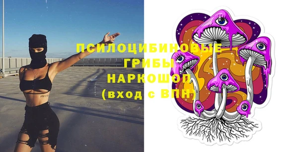 марихуана Новозыбков