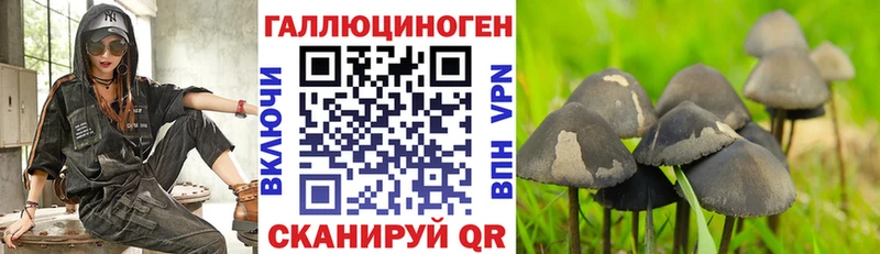 OMG вход  Учалы  Галлюциногенные грибы Cubensis 
